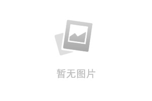 活血止痛胶囊